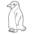 Результат пошуку зображень за запитом пінгвін рисунок